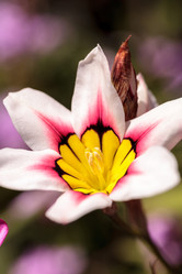 Similar image 13099558