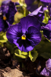 Similar image 13099577