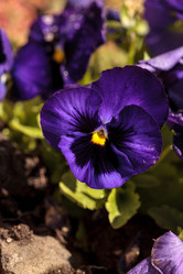 Similar image 13099597