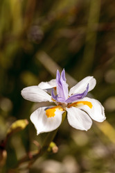 Similar image 13105578