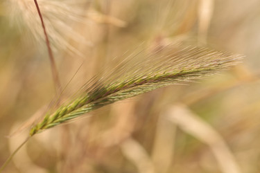 Similar image 13105597