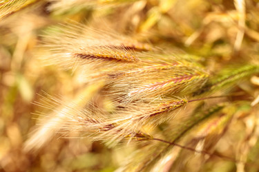 Similar image 13105598