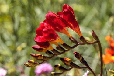 Similar image 13105618