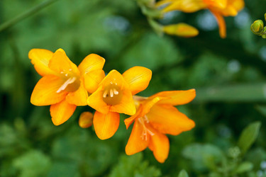 Similar image 13105639