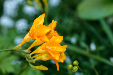 Similar image 13105640