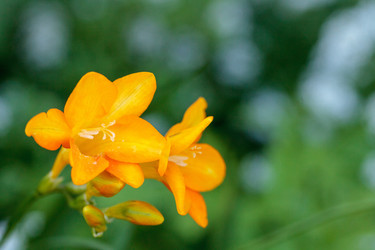 Similar image 13105641