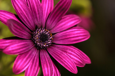 Similar image 13105685