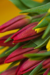 Similar image 13078052