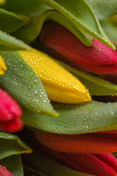 Similar image 13078053