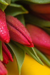 Similar image 13078055