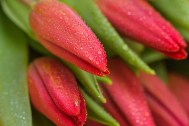 Similar image 13078057