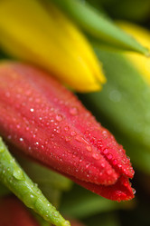 Similar image 13078058