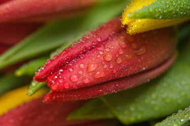 Similar image 13078059