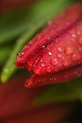 Similar image 13078060