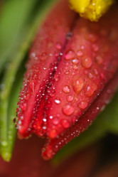 Similar image 13078061