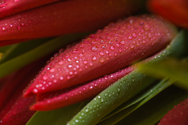 Similar image 13078062