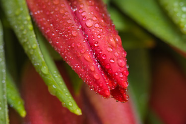 Similar image 13078071