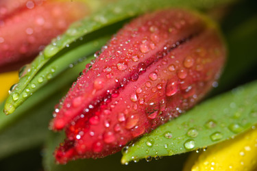 Similar image 13078073