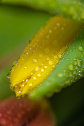 Similar image 13078092