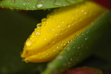 Similar image 13078093