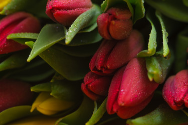 Similar image 13078115