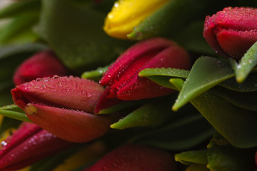 Similar image 13078116