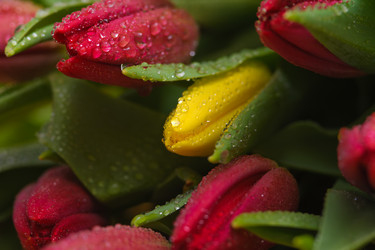 Similar image 13078117