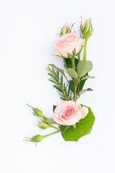 Similar image 13088585