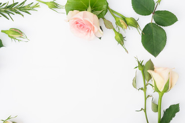 Similar image 13088587