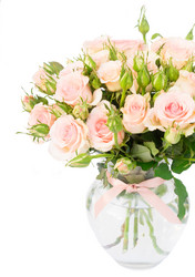 Similar image 13088768