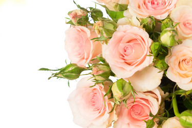 Similar image 13088788