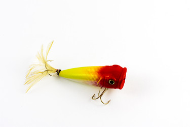 Similar image 13098718