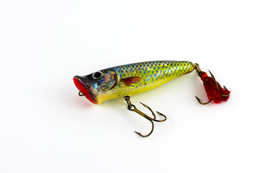 Similar image 13098719