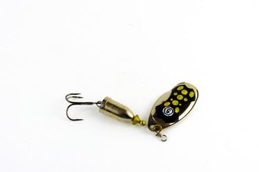 Similar image 13098720