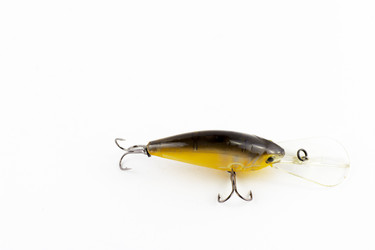 Similar image 13093784