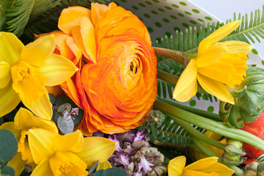 Similar image 13087165