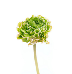 Similar image 13087178