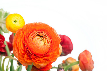 Similar image 13087190