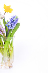 Similar image 13087140