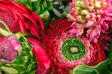 Similar image 13087215