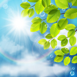 Similar image 13105282