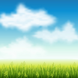 Similar image 13105299