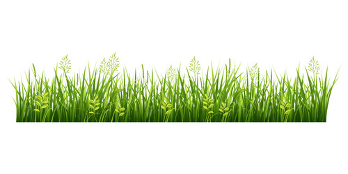 Similar image 13105300