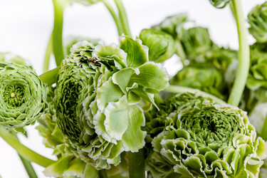 Similar image 13087237