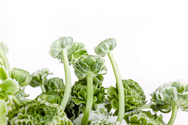 Similar image 13087238