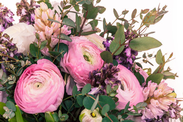 Similar image 13087240