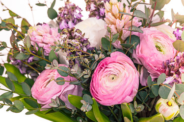 Similar image 13087242