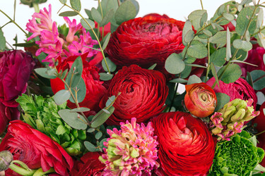 Similar image 13087097