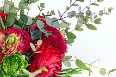 Similar image 13087098