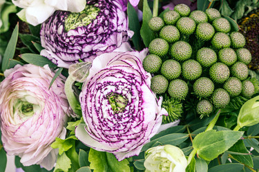 Similar image 13087104